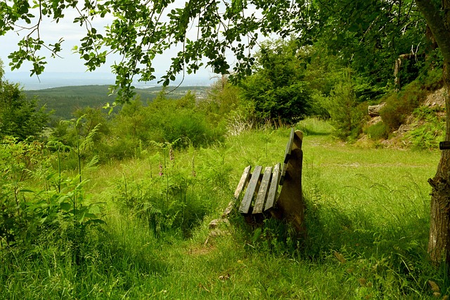 朴柱奉的指 朴柱奉的指