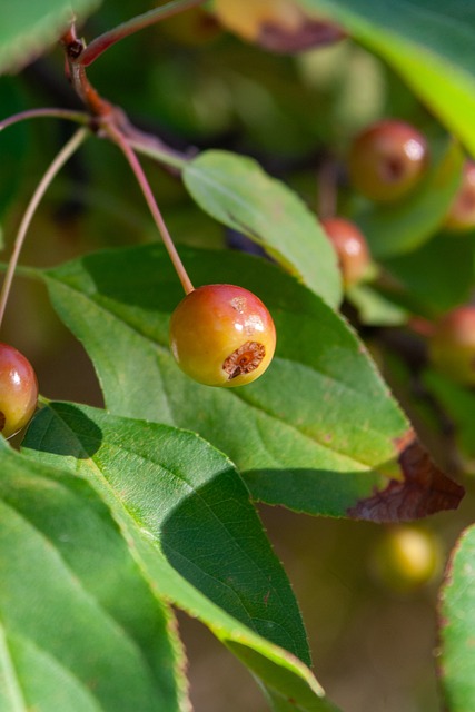 技巧的结合 技巧的结合