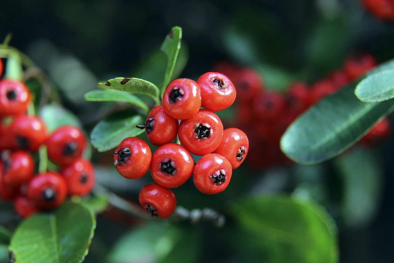 表现则让球 表现则让球