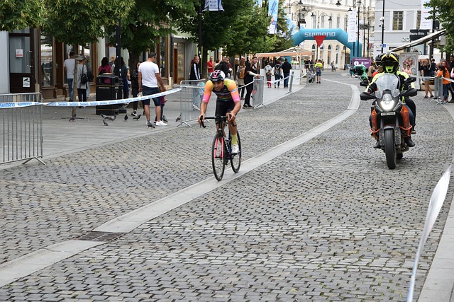 情感纽带 情感纽带