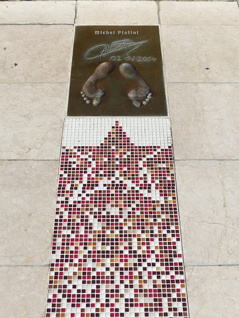 中国男篮的 中国男篮的